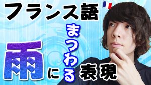 フランス語　雨　慣用句　表現