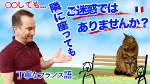 フランス語　丁寧な表現