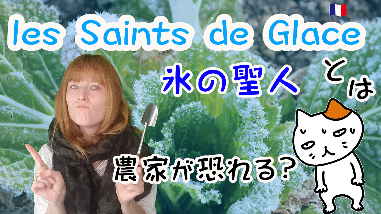 農家が恐れる「氷の聖人 les Saints de Glace 」とは？[♯475]